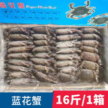 活冻蓝花蟹冷冻兰花蟹冰冻螃蟹石蟹花盖蟹大海螃蟹酒楼自助餐商用