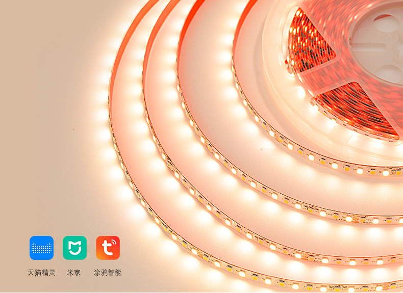 双色灯带详情 (6).jpg