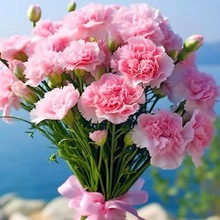 ����ܰ�N���ذ��ļ����N�̨ͥԺ�������ѻ������Ի��绨�N����