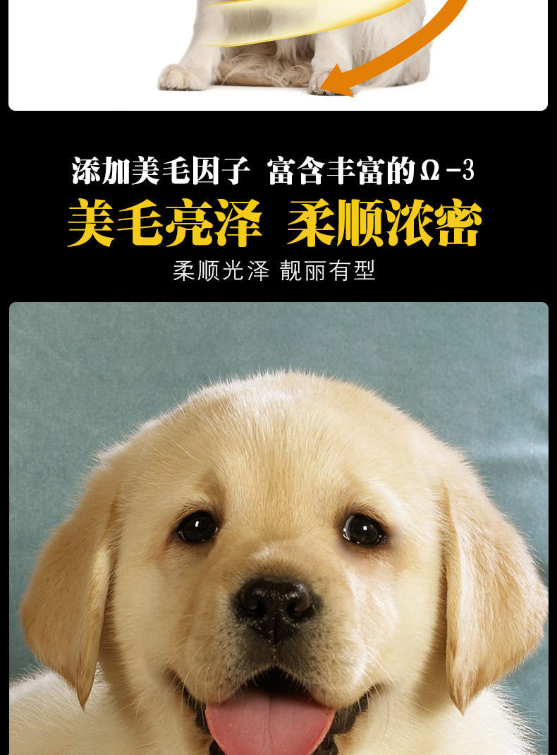 fa9404c8-627e-49a8-a2c8-628348cf6973.jpe