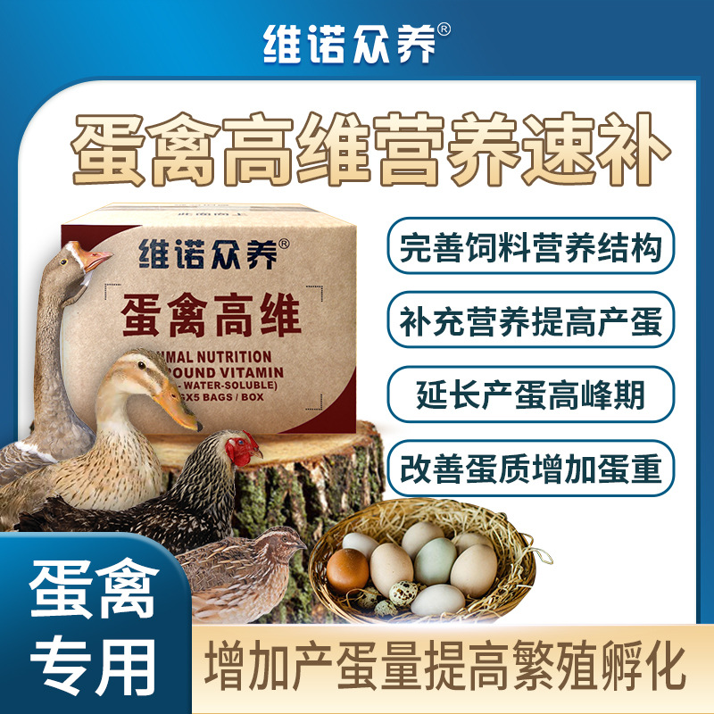 蛋禽高维鸡鸭禽类产蛋饲料添加剂补充多种维生素营养延长产蛋高峰