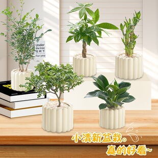 �k���������҃ȾGֲС���������L�[���ļ����B�҃�����ȩ�����՚�