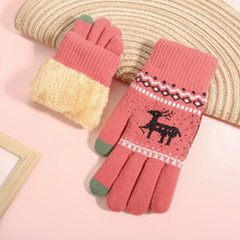 新款针织触屏手套女冬季韩版地摊加绒加厚防寒小鹿毛线保暖手套
