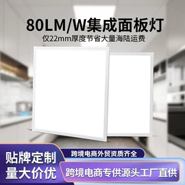 LED支架灯;小夜灯;LED日光灯