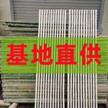 养殖场漏粪板羊圈鹅床竹架竹床养殖设备羊床羊舍子羊竹鸡鸭板竹笆