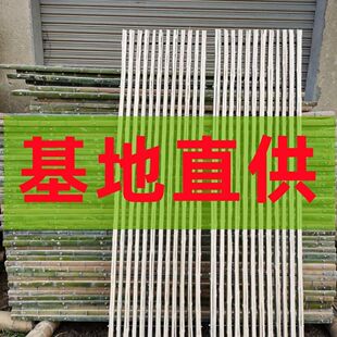 �Bֳ��©�S����Ȧ�Z��������Bֳ�O���������������u�������