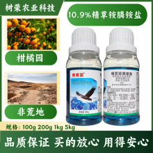 {10%@@} ݠ݄ƷǸظو@@