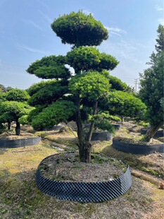 ������Ʒ�����_�h���ߙn����Ϙ�б���hƬӭ���ɴ�СҎ���бM��