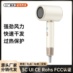 新款高速吹风机家用大风力蓝光负离子护发跨境电吹风筒发廊大功率