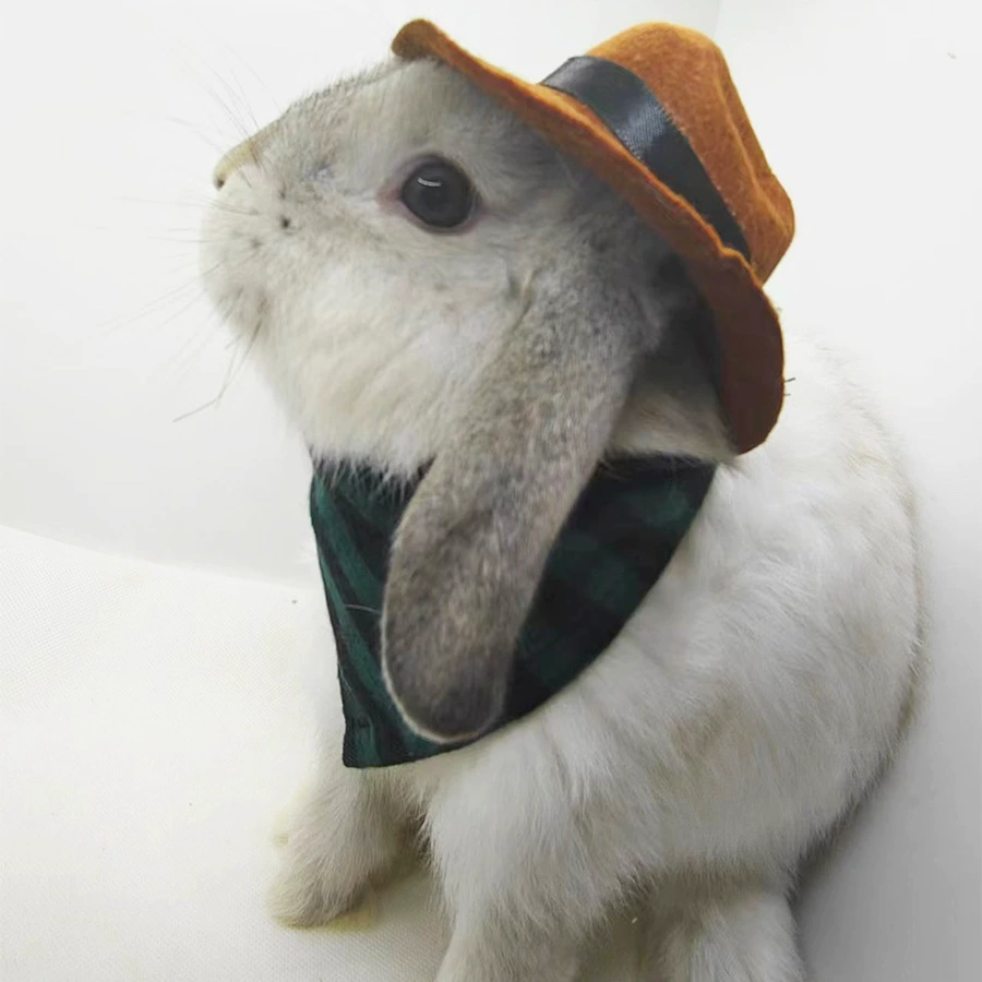 Rabbit, hat, denim eating bib, scarf, pet