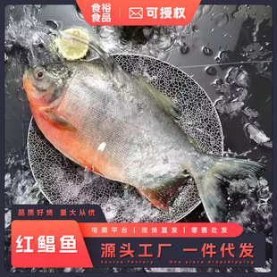 �t�K�~���r���~������r���K�~�y�K�~���K��ˮ�~���r���a�����خa