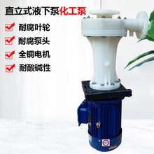 �ٴ���PVDF�ɿ��Dֱ��ʽ����������|�ò�������ˮ�òۃȻ�����