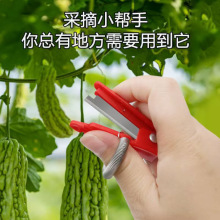 ��ժС厵�����������횲�ժĴָ��ˮ���߲˶����S�ϲ�ժ�������l