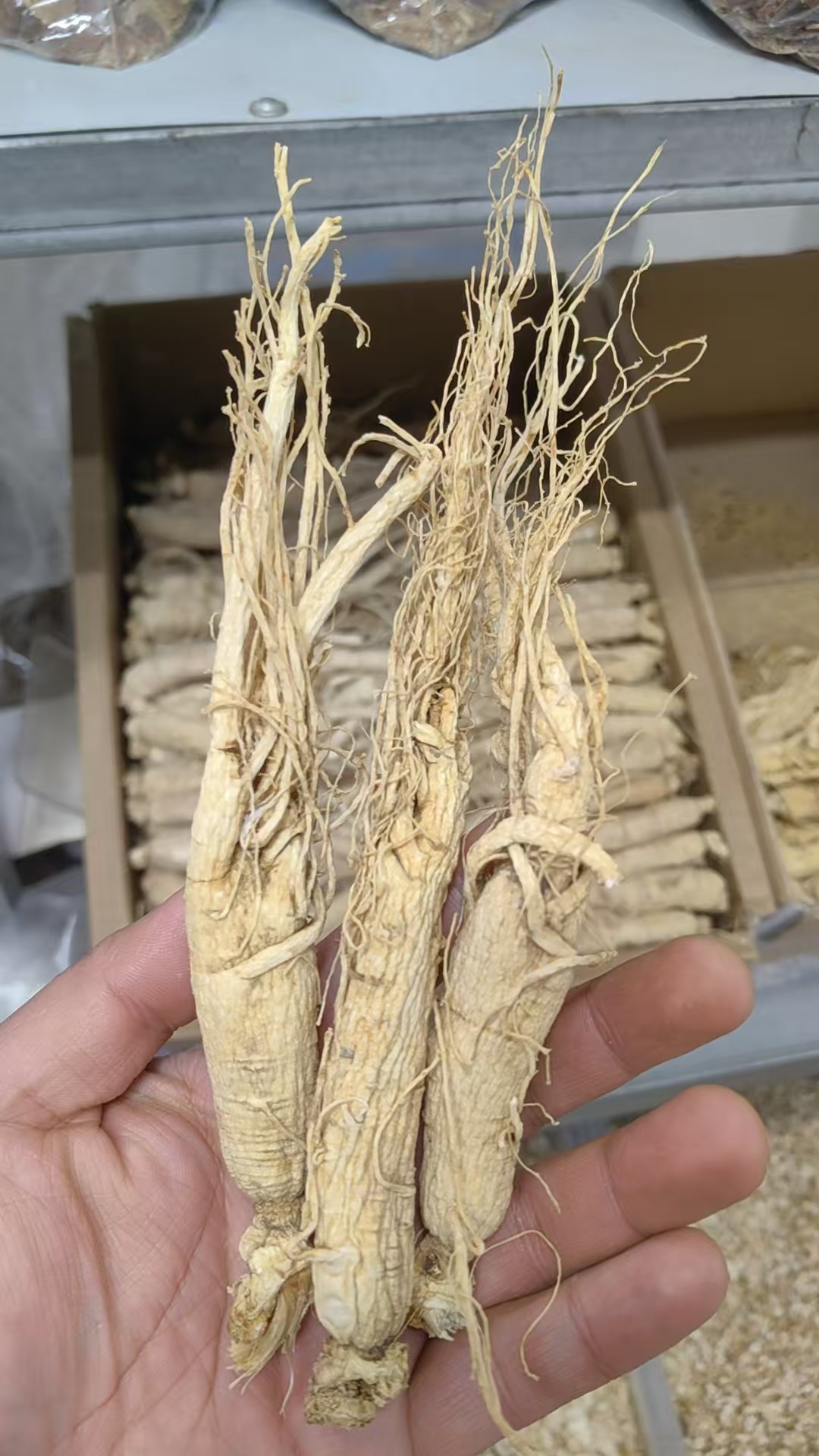 American Ginseng Slices Ren Shen 西洋参 Dried Root Slices for Tea and Decoction 50g key features