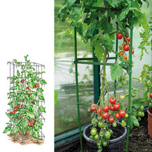 西红柿架 西红柿架品牌 图片 价格 西红柿架批发 阿里巴巴
