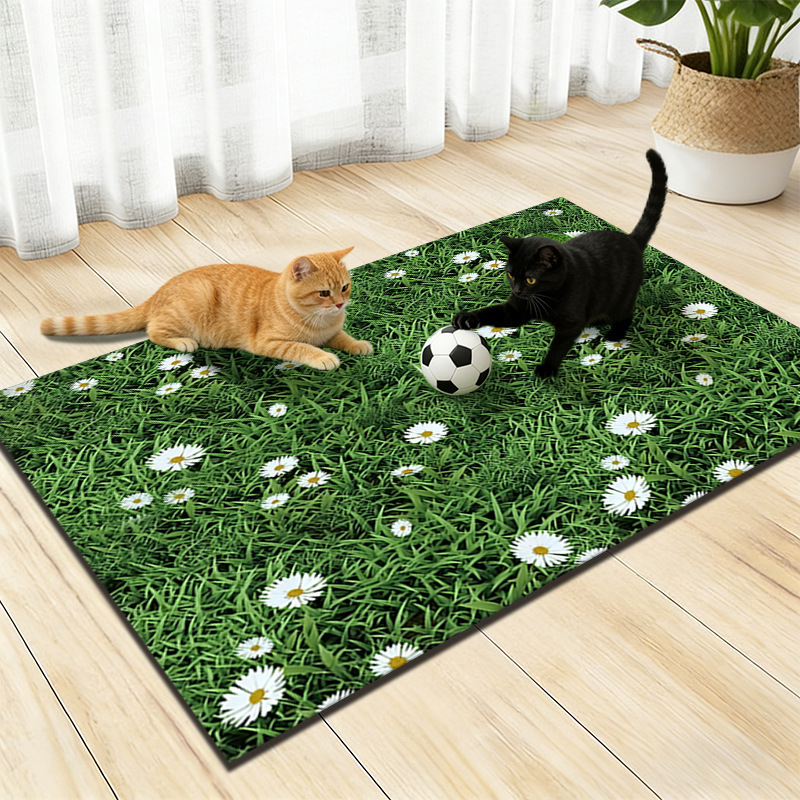 Transfronterizos TEMU camas de paja alga barro estera de campo de fútbol dormitorio para mascotas de juego estera de cabello resistente a la suciedad fácil de cuidar estera de pies