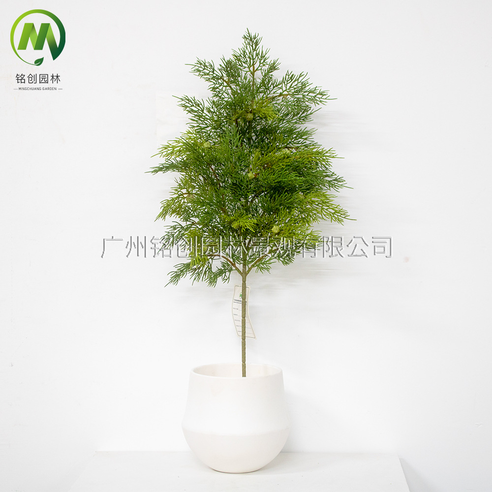 Simulación de ramas de pino, hojas de cedro, ramas de frutas, flores de pino de bienvenida, pino de belleza, podocarpus, bonsái, hojas insertadas, decoración de árboles de Navidad, ramas de pino falsas