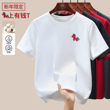 2026�紺�¿��nϵ��ͨ�̽��A�I����T��Ů���������޺ÿ�������