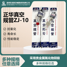 �S����Ʒ���l�F؛�ɶ����A���Ҏ��ZJ-10 ���������x���Ҏ��