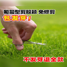���ɷf�������޼�������ƺ�����ļ���������ߠ��������Ƥ�N����