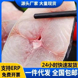 纯鲅鱼块冷冻鲅鱼深海鱼马鲛鱼切片非大整条生鲜商用批发