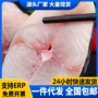 生鲜商用冷冻深海鱼切片
