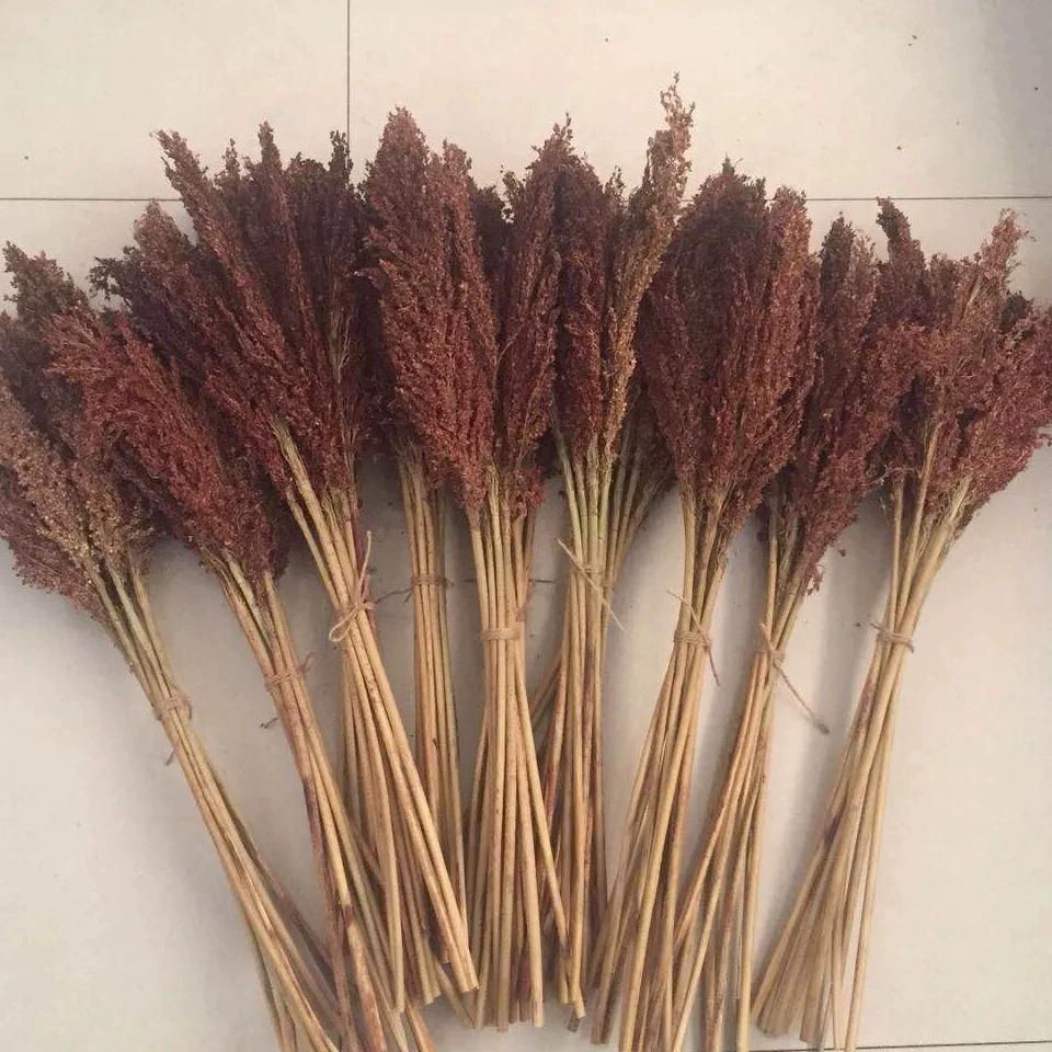 Сорго, стебли кунжута, сухоцветы, декоративные цветы, композиция в стиле пасторального фермерского дома, рисовые колоски, пшеничные колоски, зерновые колоски