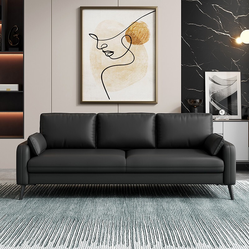 Small Apartment Sofa Modern Minimalist Sofa Living Room Apartment Rental Clothing Store Office Rest Area Small Sofa Small Apartment Sofa Modern Minimalist Sofa Living Room Apartment Rental Clothing Store Office Rest Area Small Sofa