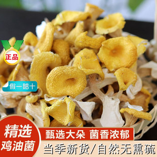 �u�;���؛500����Ͼ������r���SĢ�ɹ������Ҝ��㹽��ĥ���