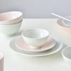 Japanese import tableware home use