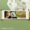 Panda 153