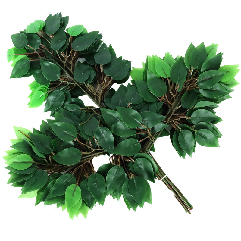 Bande Banyan feuille vert brun tige