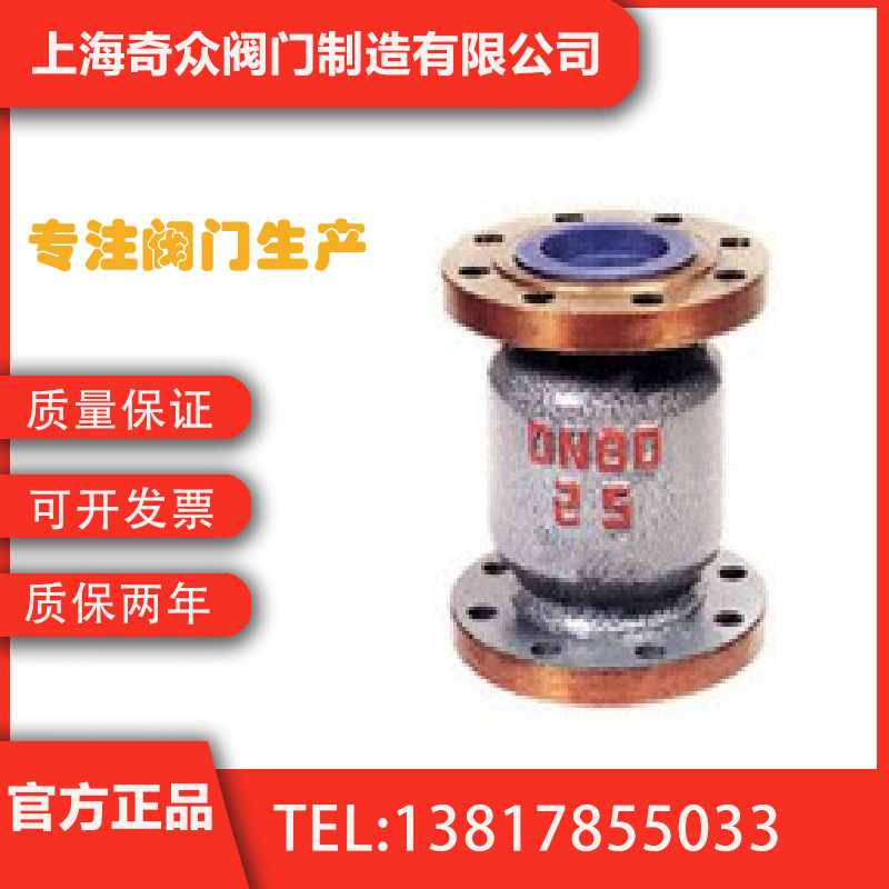 H42N-25 40天然气立式止回阀 防爆耐酸碱实用液化气阀门DN100 125