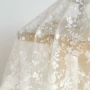 蕾丝fabricwholesale刺绣欧根纱
