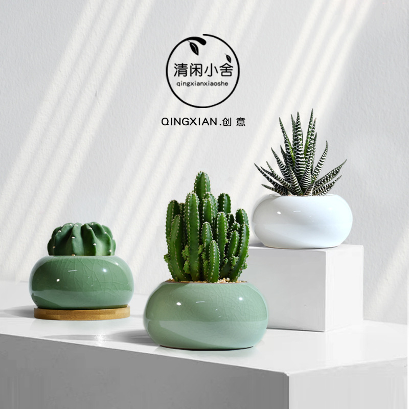 Cactus Succulent Potted Plant for Office, Radiation-Resistant Indoor Plant, Shade-Tolerant and Easy to Care For, Flower Plant, Desktop Greenery