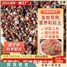 多肉纯颗粒土营养土彩虹石火山石麦饭石绿沸石铺面石通用型