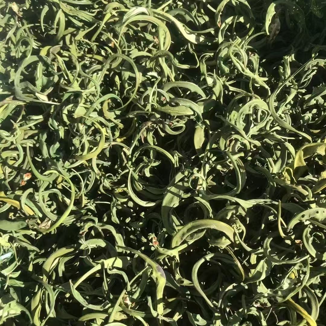 Shen Jing Cao Kidney Essence Herb Dried Ren Jing Cao Traditional Herbal Tea Loose Dried Herb specifications