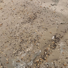 �r����@���F�C��܇ʽ�߉���ș�C늄Ӈ��F�߉�������ϴ����һ�w�C