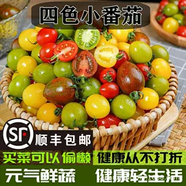 其他蔬菜;瓜果类;叶菜类
