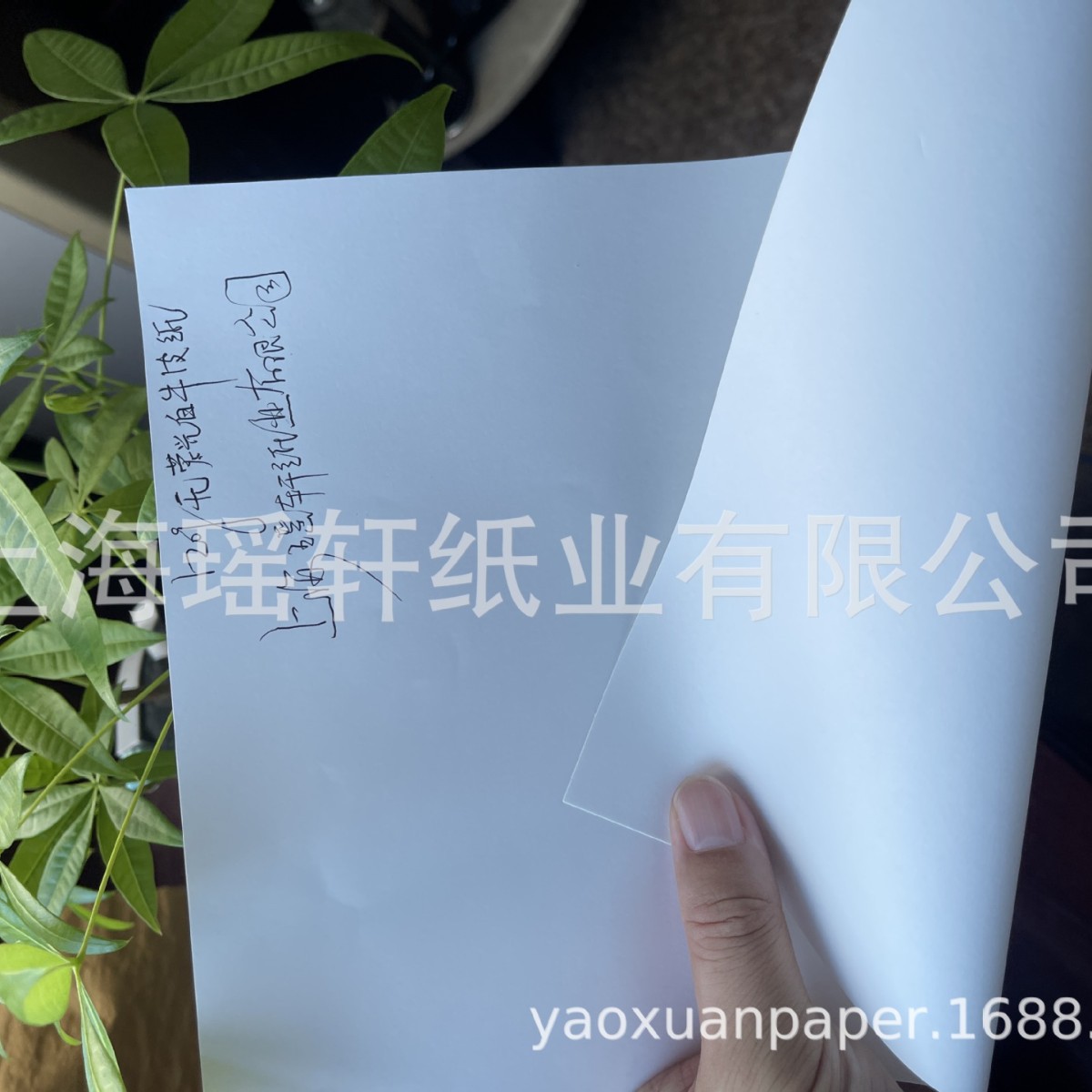 进口白牛皮纸，长纤维白牛皮纸，北极熊白牛皮纸，GP白牛皮纸