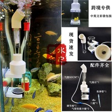 跨境现货-50MM鱼卵孵化器三湖慈鲷鱼卵异型底栖观赏鱼热带鱼繁殖