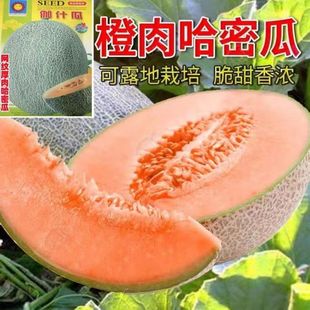 ���ܹϷN����٤��������ļ���ϴ����N���ݴ���ˮ�����Ϸ��Nֲ