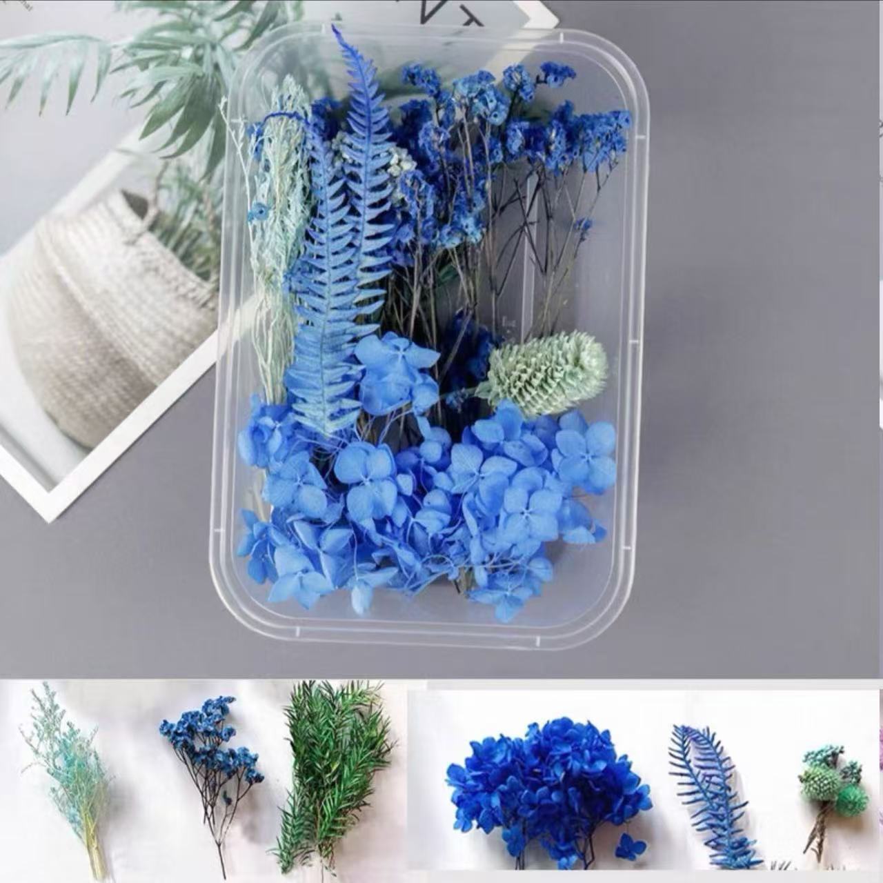 Paquete mixto de bricolaje, decoración hecha a mano, flor eterna, material de paquete de flores secas, marco de fotos de bricolaje, paquete de flores en relieve, día de la mujer