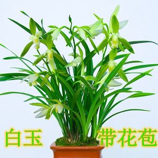 �m������ֲ�����F�m�ݽ��m���m�ļ��m�����m���玧���������ļ���