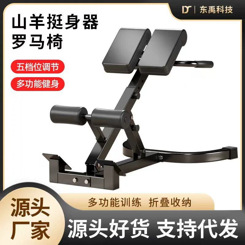 Римский стул Домашний козий выпрямитель Регулируемый мышцы спины Многофункциональный тренажер Профессиональное оборудование для фитнеса