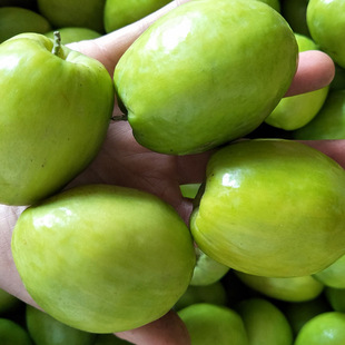 �������l������ ̨��ţ�̗����� ���������ۗ��F������