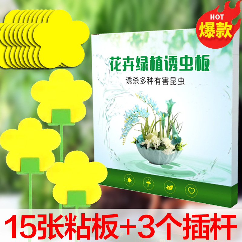 꽃 종류: 상자당 15개 + 인서트 3개