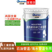 DSF22海工重防腐无溶剂环氧涂料预埋管道海水循环管道钢构重防腐