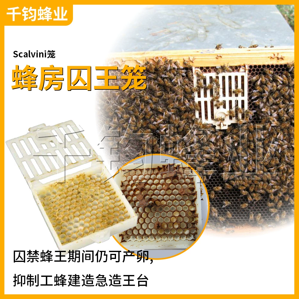Многофункциональная пластиковая королевская клетка для улья, королевская клетка, посуда для пчеловодства