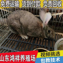 ����N���Bֳ���̓r���l���|�����r����؛���T�����Bֳ�ɱ��Ͱ���